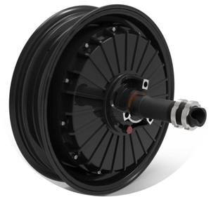 in wheel hub Motor for 12”~17” wheel